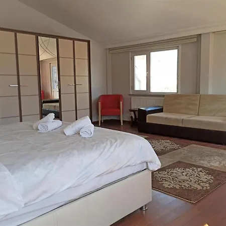 2br Family House With Terrace איסטמבול