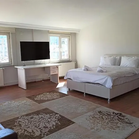 2br Family House With Terrace 公寓 伊斯坦布尔