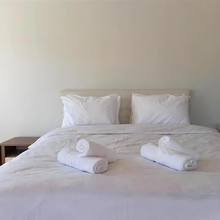 2br Family House With Terrace 伊斯坦布尔